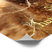 Poster drôle Alpaca (Coin)