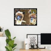 Poster drôle Alpacas (Bureau à domicile)