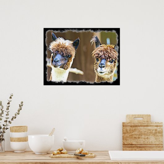 Poster drôle Alpacas (Cuisine)