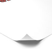 Poster Drôle américain Patriotique (Coin)