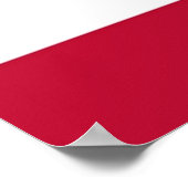 Poster Drôle amusant St Patrick USA Irlande Shamrock Clov (Coin)