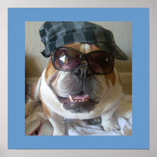 Poster drôle anglais Bulldog