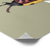 Poster Drôle Beetles (Coin)