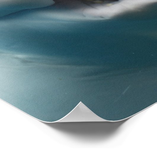 Poster drôle Beluga baleine (Coin)