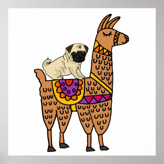 Poster Drôle Carlin Chien équitation Llama Dessin (Devant)