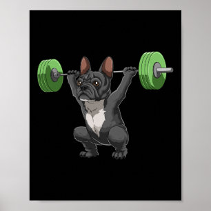 Poster Drôle de Bouledogue Français de musculation et de