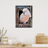 Poster drôle de carte postale immobilière crampé perroque (Cuisine)