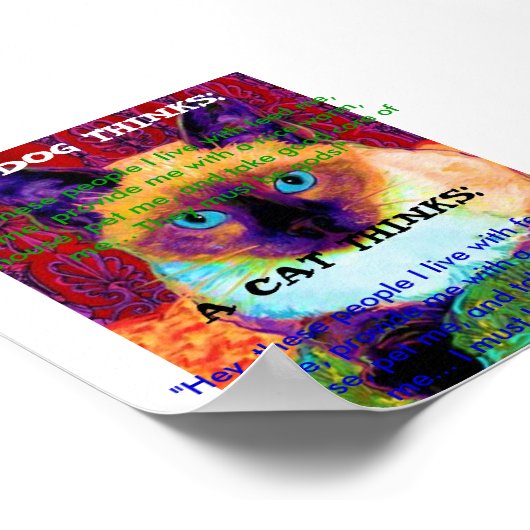 Poster drôle de chat (Coin)