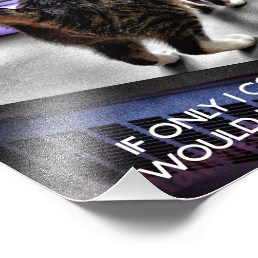 Poster drôle de chat (Coin)