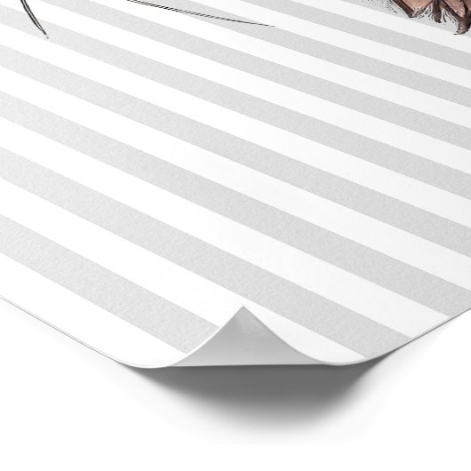 Poster drôle de chat (Coin)