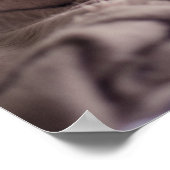 Poster drôle de chien (Coin)