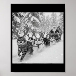 Poster Drôle de Noël Santa Traîneau Chats Renne Selfie
