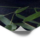 Poster Drôle De Panda, Lundi Alors Bientôt ? (Coin)