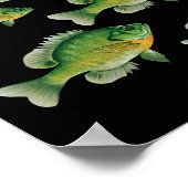Poster Drôle de pêche de crapet arlequin en eau douce (Coin)