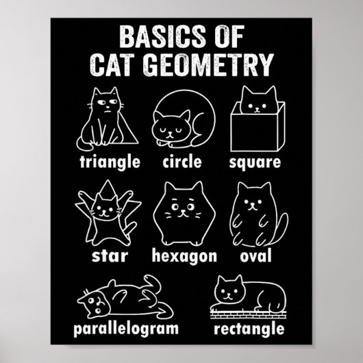 Poster Drôle de physique de la géométrie du chat retour à (Devant)