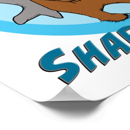 Poster drôle de requin et d'ours (Coin)