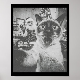 Poster Drôle de selfie de chat siamois Ai avec Santa Clau