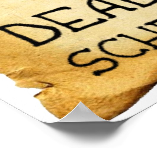 Poster drôle de Shrodinger's Cat Cat (Coin)