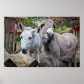 Poster drôle Donkey (Devant)