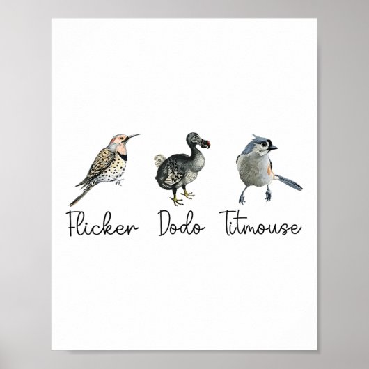 Poster Drôle Flicker Dodo Titsouris (Devant)