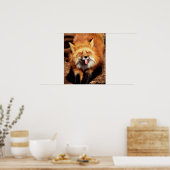 Poster Drôle Fox Sticking It's Tongue Out (Cuisine)