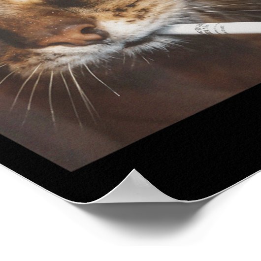 Poster Drôle Fumer Mème de chat (Coin)
