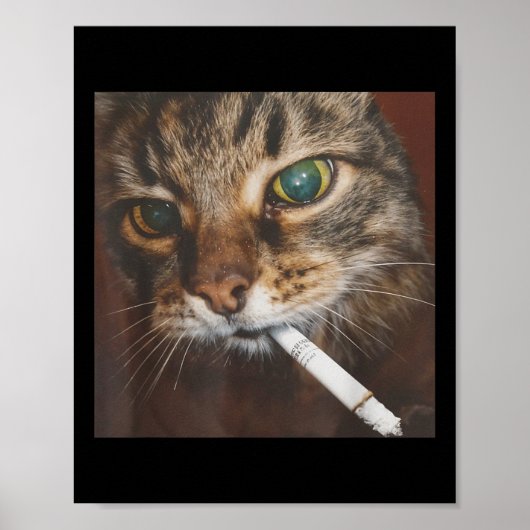 Poster Drôle Fumer Mème de chat (Devant)