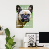 Poster Drôle Grumpy French Bulldog Je Connais Vos Trucs (Bureau à domicile)