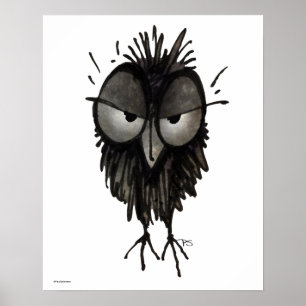 Poster Drôle Grumpy Owl Art