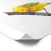 Poster Drôle Jaune Paruline Imprimer (Coin)