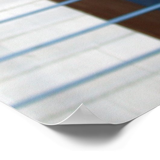 Poster Drôle Llama (Coin)