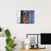 Poster Drôle Llama (Bureau à domicile)