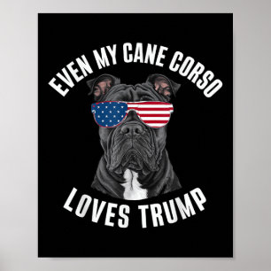 Poster Drôle Même Mon Corso De Canne Aime Trump Politique