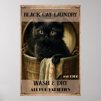 Poster Drôle mignon Linge de chat noir