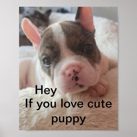 Poster Drôle mignon puppy citation (Devant)
