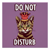 Poster Drôle Ne Disturbe Pas (Devant)