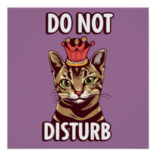 Poster Drôle Ne Disturbe Pas