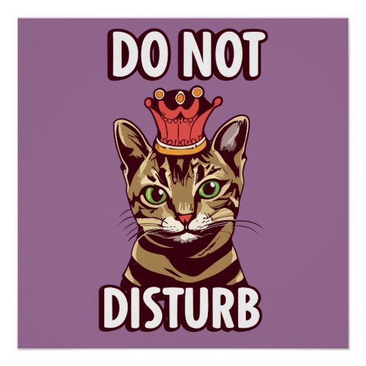 Poster Drôle Ne Disturbe Pas (Devant)