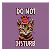 Poster Drôle Ne Disturbe Pas (Devant)