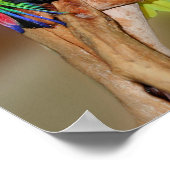 Poster Drôle Parrot Anger Citation Inspiration (Coin)