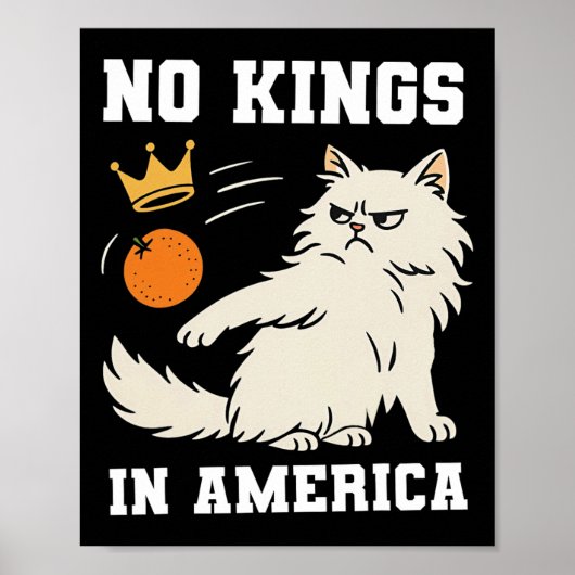 Poster Drôle Pas De Rois En Amérique (Devant)