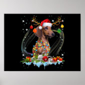 Poster Drôle Père Noël Dachshund Reindeer Noël clair (Devant)