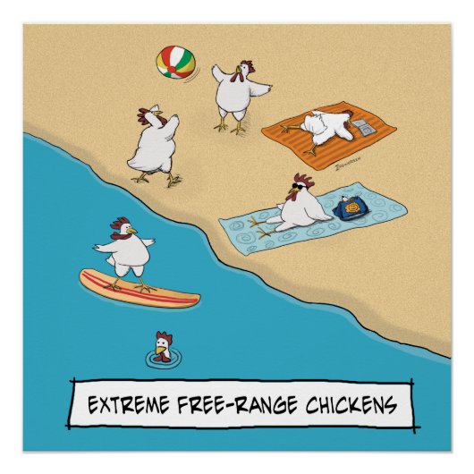 Poster Drôle Poulets Extreme Libre-Range (Devant)