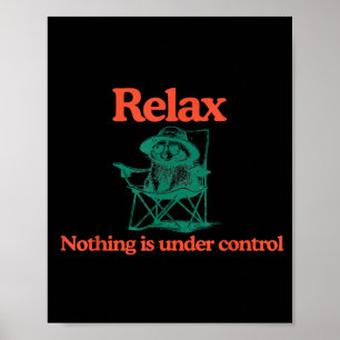 Poster Drôle Relax Rien n'est sous contrôle Raton laveur