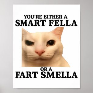 Poster Drôle Soit T'es Un Mec Intelligent Ou Un Renifleur