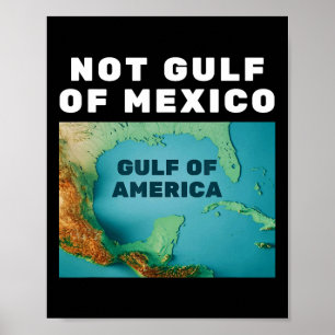 Poster Drôle Trump Amérique du Golfe pas Golfe du Mexique