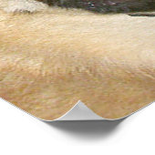 Poster Drôle visage GSD Chien ne se nourrit pas après min (Coin)