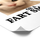 Poster Drôle Vous Avez Soit Une Fella Intelligente Soit U (Coin)