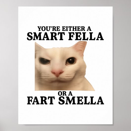 Poster Drôle Vous Avez Soit Une Fella Intelligente Soit U (Devant)