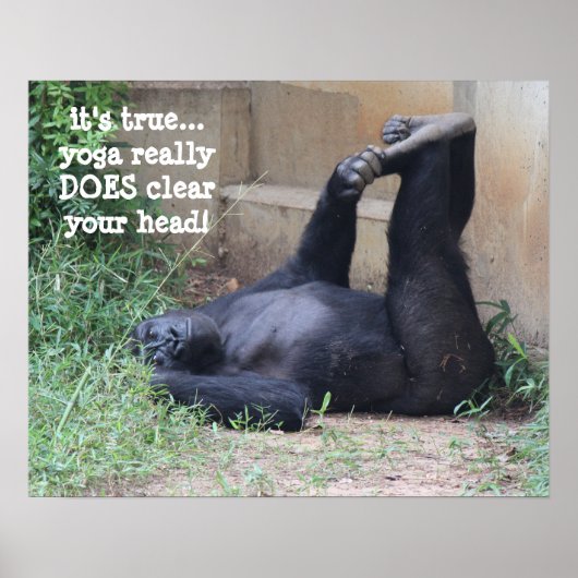 Poster drôle Yoga Gorilla (16x20) (Devant)